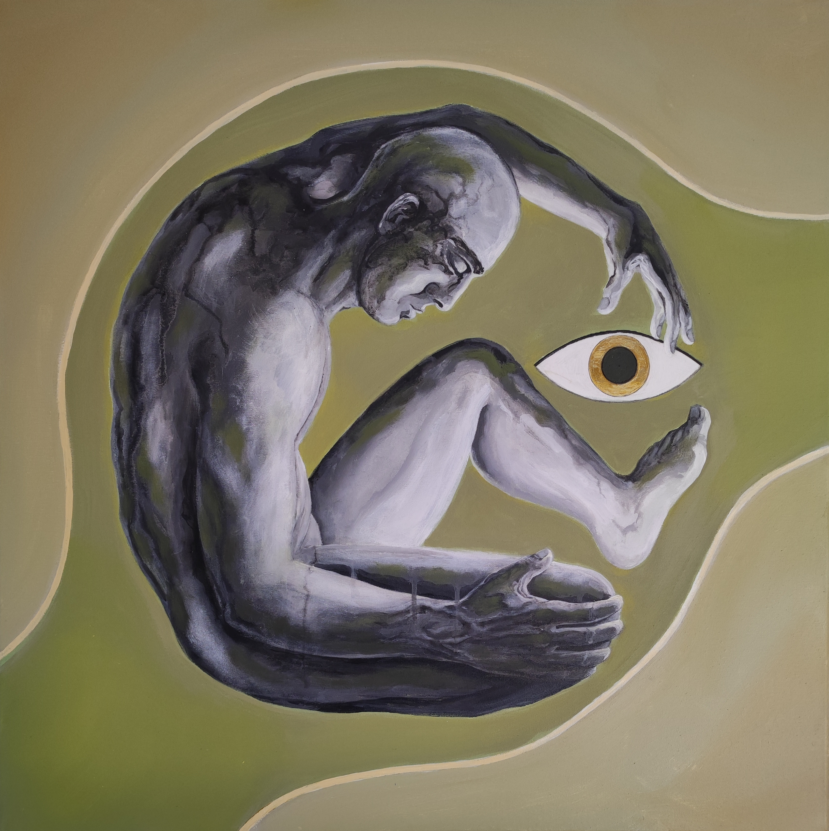 images\Amniotic.jpg